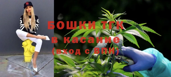 сатива Кукмор