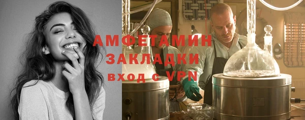 прущие грибы Кулебаки