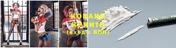 сатива Кукмор