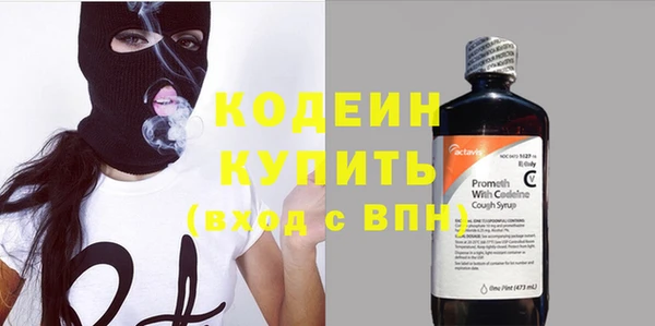 прущие грибы Кулебаки