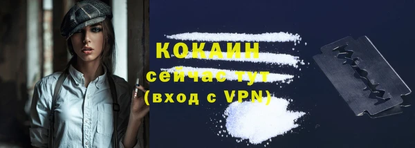 прущие грибы Кулебаки