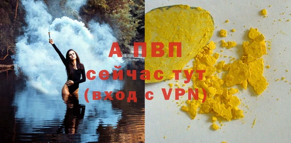 сатива Кукмор