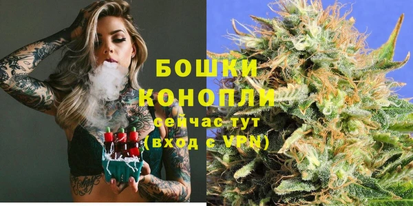 прущие грибы Кулебаки