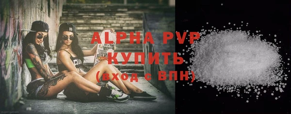 прущие грибы Кулебаки