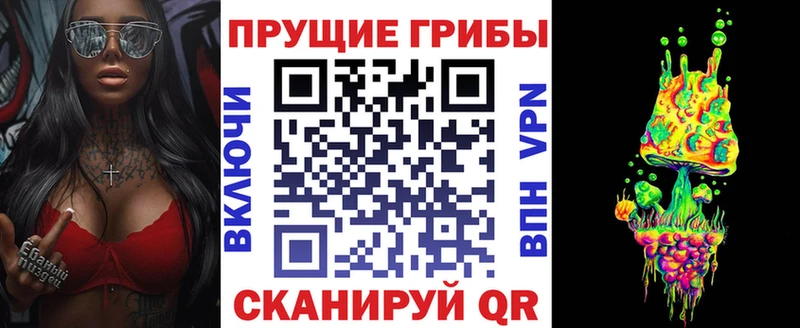 Псилоцибиновые грибы Psilocybe  Купить где  Усть-Джегута 